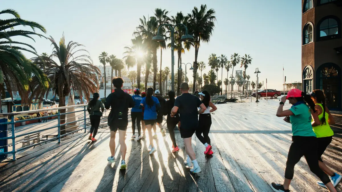 Run club heading out along a palm-lined waterfront boardwalk at sunrise &mdash; IT band syndrome physical therapy for runners at Forward Physio Tampa